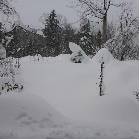 Pension Oberwirt Fischbachau Luaran gambar